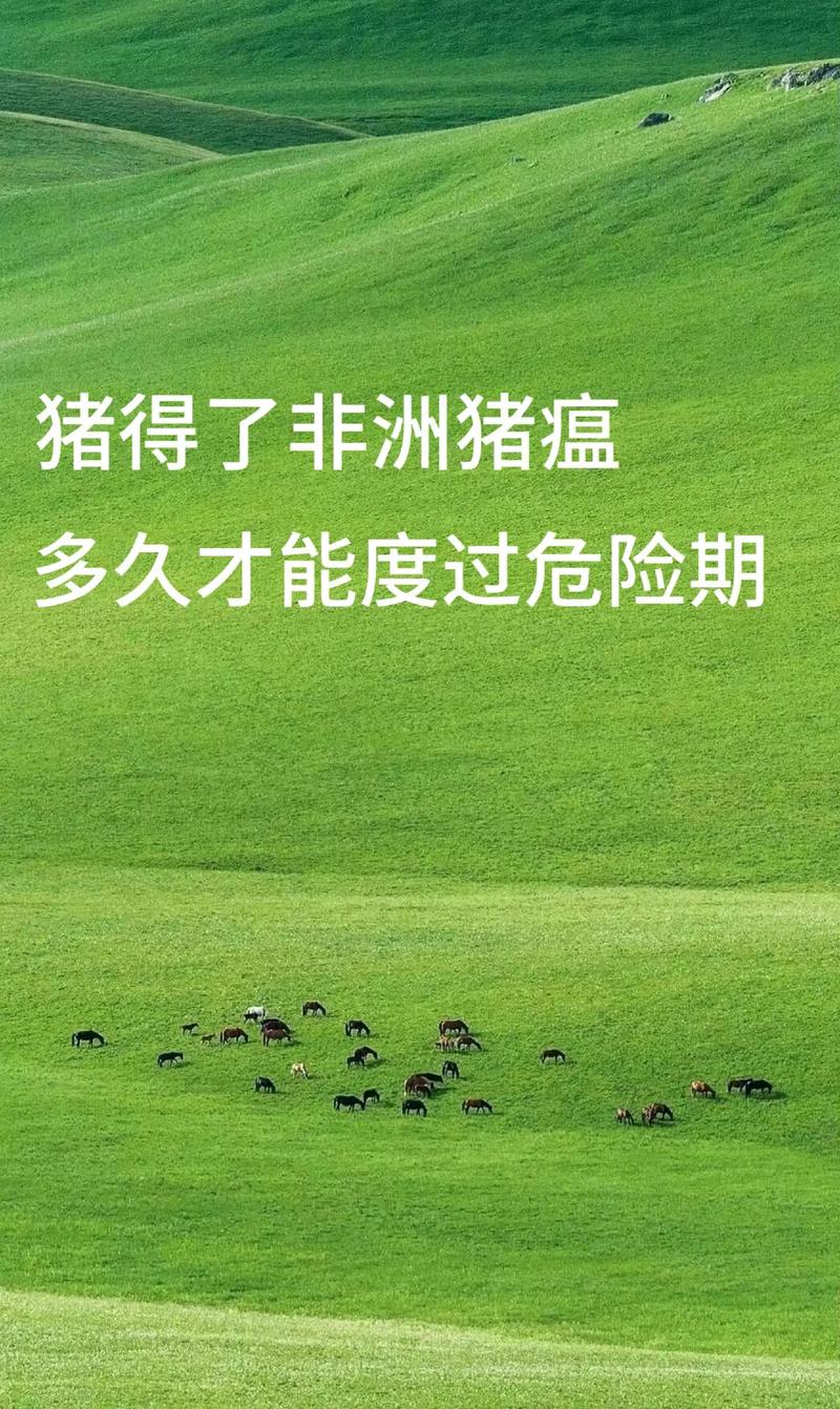 安徽生猪疫情(安徽省生猪行情走势)