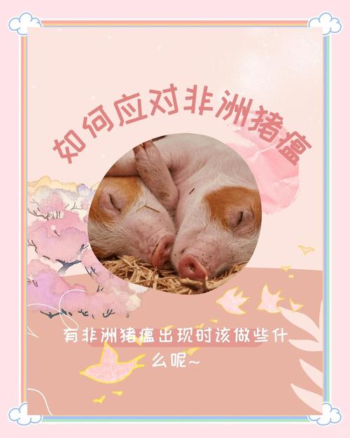 安徽生猪疫情(安徽省生猪行情走势)-第3张图片