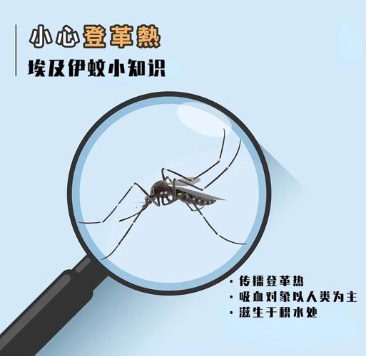安格拉的疫情/安格拉是哪个国家的?-第2张图片 安格拉的疫情/安格拉是哪个国家的?-第2张图片