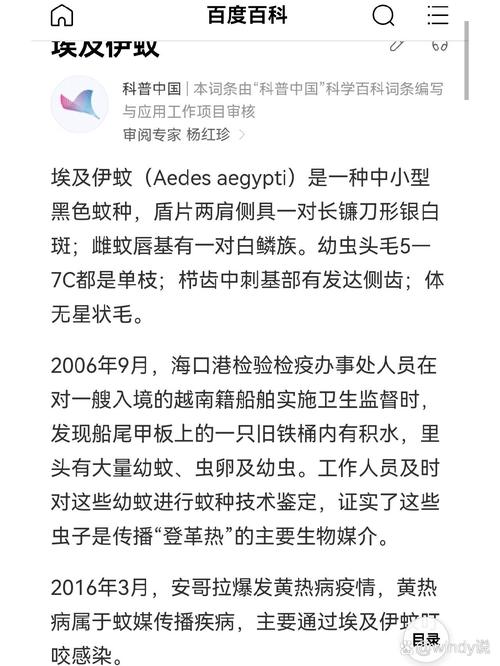 安格拉的疫情/安格拉是哪个国家的?-第3张图片 安格拉的疫情/安格拉是哪个国家的?-第3张图片