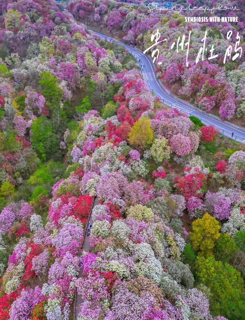 疫情近期情况(近期疫情情况通报)-第1张图片 疫情近期情况(近期疫情情况通报)-第1张图片