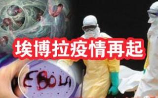 埃博拉最新疫情，埃博拉最新疫情防控政策-第1张图片