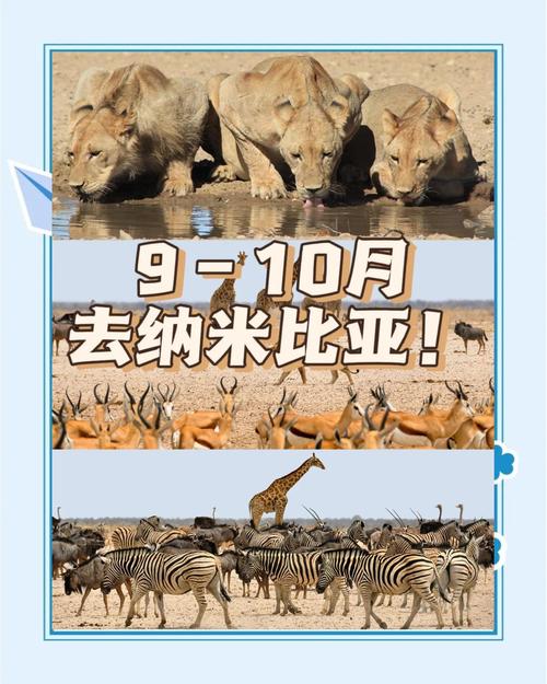 埃博拉最新疫情，埃博拉最新疫情防控政策-第5张图片