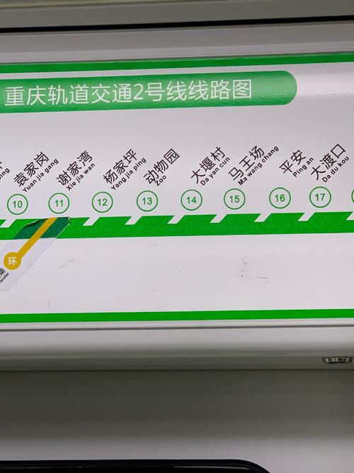 重庆明天限号/重庆明天限号多少-第7张图片