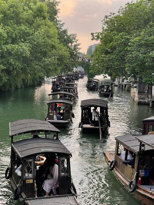 乌镇限号(乌镇有限行吗)-第5张图片