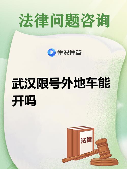 武汉东湖单双号限行-武汉东湖单双号限行 必须被罚款吗-第4张图片
