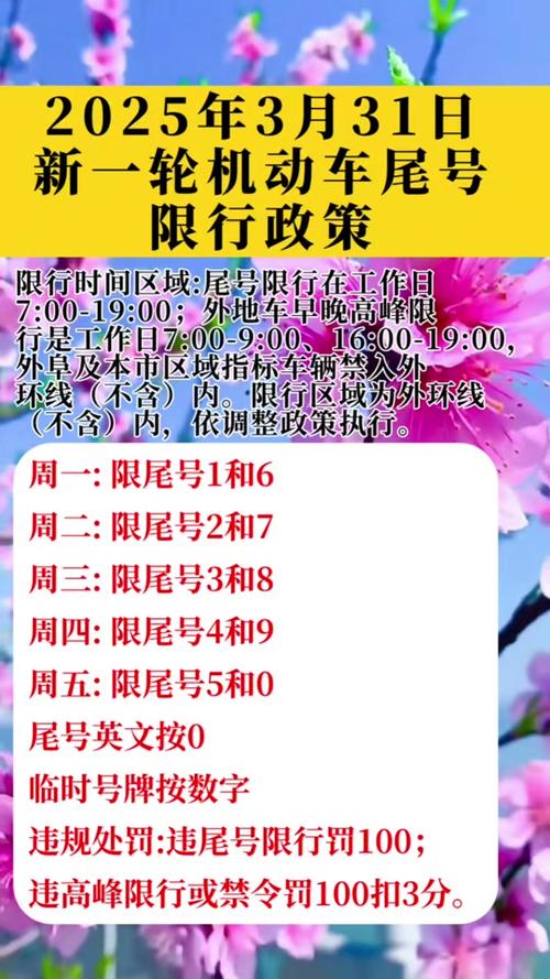 厦门98限号，厦门98限号路段-第5张图片