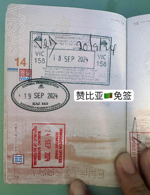 美国疫情新增(美国 疫情 新增)-第6张图片