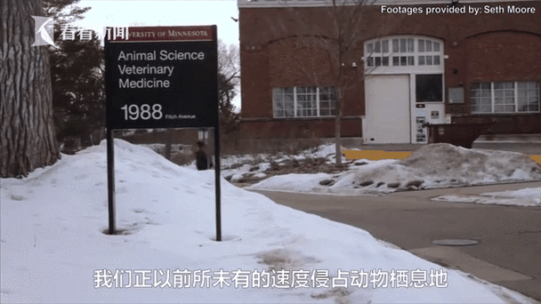 加拿大新冠疫情最新消息/加拿大新冠疫情最新报道-第1张图片 加拿大新冠疫情最新消息/加拿大新冠疫情最新报道-第1张图片