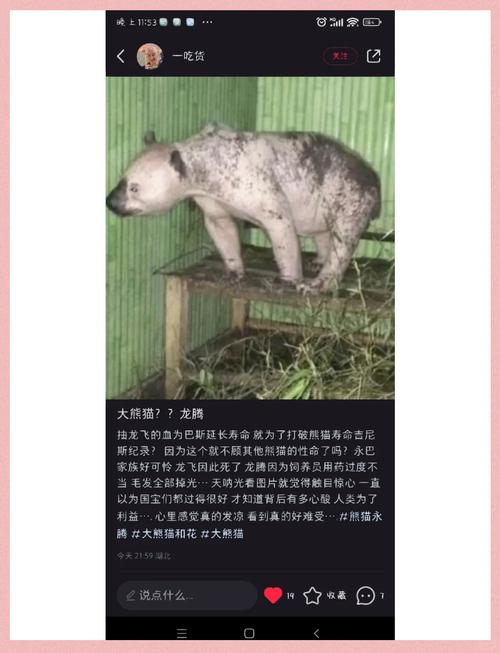 【爱丁堡疫情,爱丁堡实时疫情】-第3张图片 【爱丁堡疫情,爱丁堡实时疫情】-第3张图片