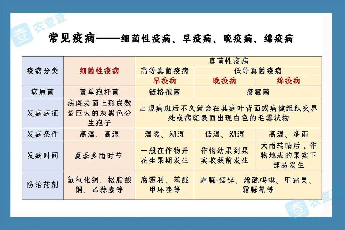 疫情拼音(疫情拼音字母)-第4张图片