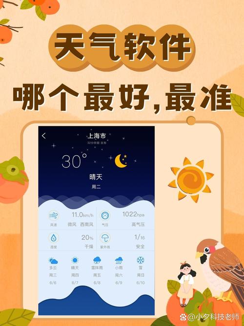 【限号查询软件,限号在线查询】-第6张图片 【限号查询软件,限号在线查询】-第6张图片