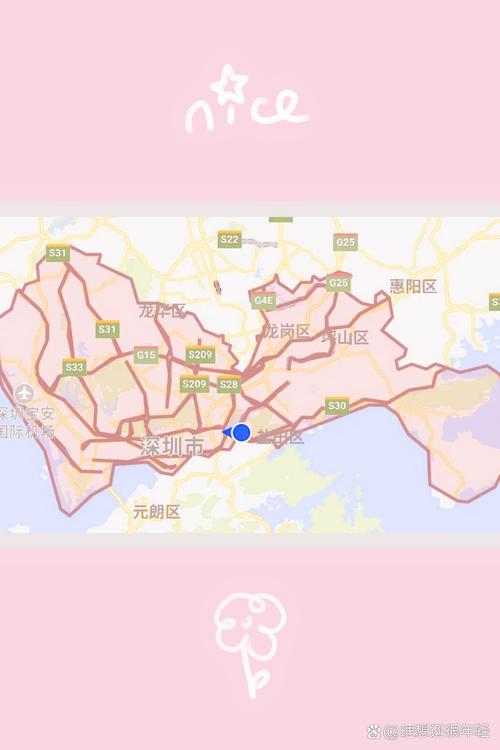 【深圳限行区域,深圳限行区域行驶怎么处罚】-第4张图片 【深圳限行区域,深圳限行区域行驶怎么处罚】-第4张图片