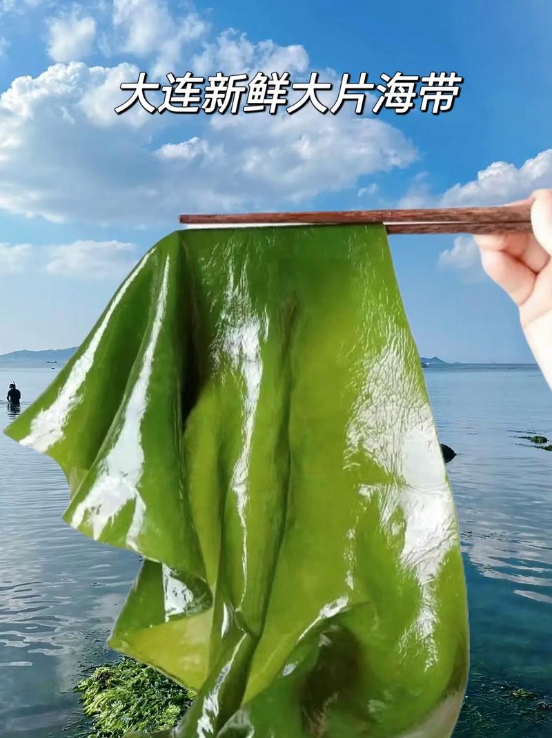 大连甲肝疫情,大连病情-第6张图片 大连甲肝疫情,大连病情-第6张图片
