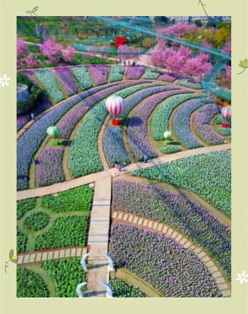 六月限号-6月限号是几和几-第7张图片