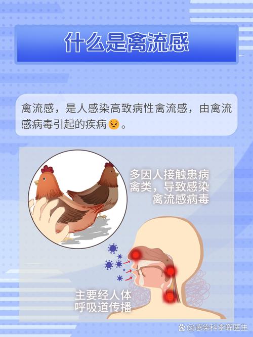 禽流感疫情-禽流感疫情的地区分布-第3张图片 禽流感疫情-禽流感疫情的地区分布-第3张图片