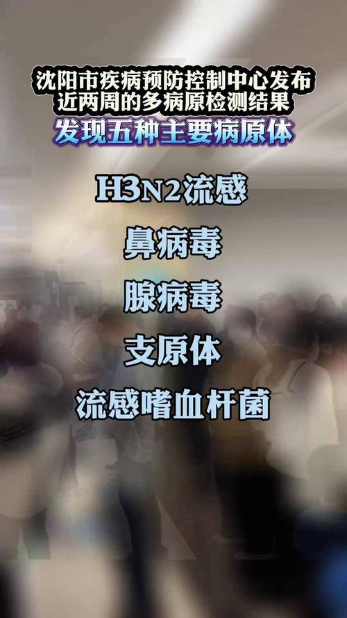 沈阳疫情最新消息-沈阳疫情最新资讯-第8张图片 沈阳疫情最新消息-沈阳疫情最新资讯-第8张图片