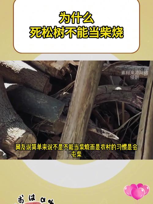 松材线虫病疫情(松材线虫病疫情监测普查中取样采取的方法主要包括)-第3张图片 松材线虫病疫情(松材线虫病疫情监测普查中取样采取的方法主要包括)-第3张图片