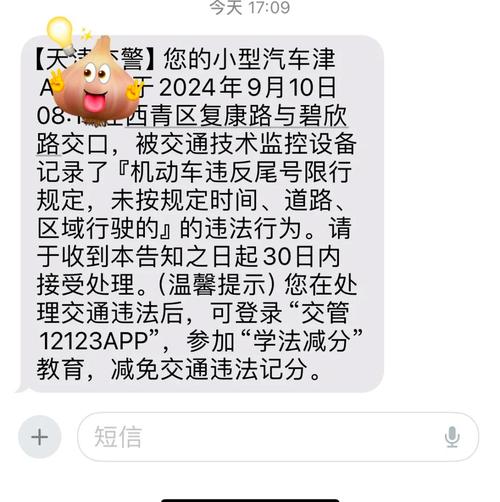 尾号限行违章怎么处罚-尾号限行怎样处罚-第6张图片 尾号限行违章怎么处罚-尾号限行怎样处罚-第6张图片