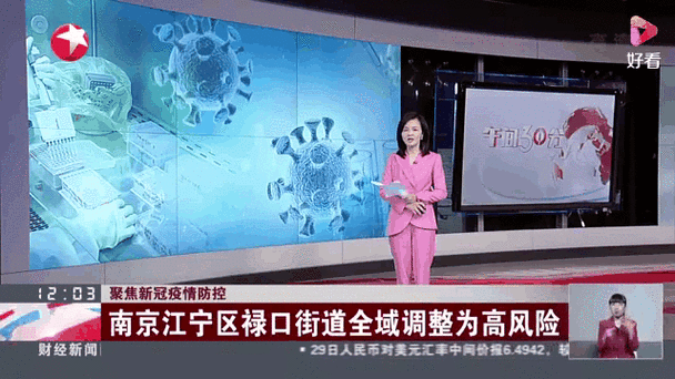 禄口疫情(禄口疫情是哪一年)-第7张图片 禄口疫情(禄口疫情是哪一年)-第7张图片