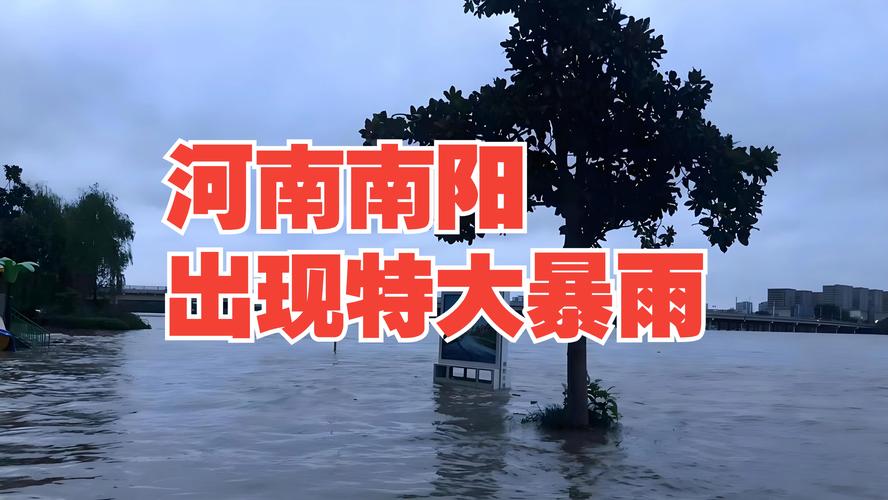 南阳市疫情(南阳市疫情一线 赵东洋)-第5张图片 南阳市疫情(南阳市疫情一线 赵东洋)-第5张图片