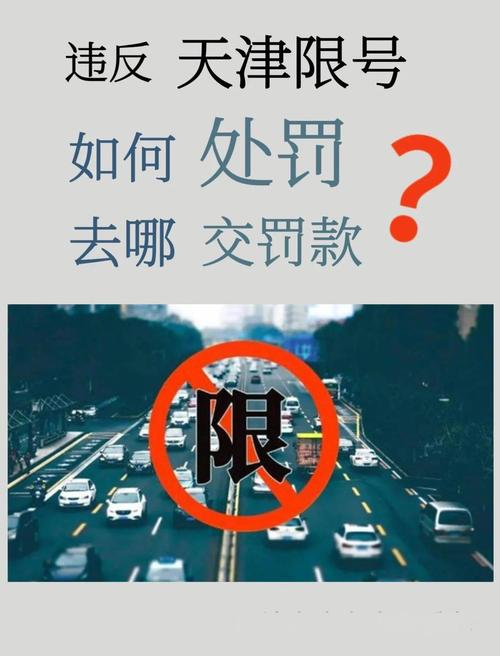 天津违反限号怎么处罚，天津违反限号规定如何处罚 一天比较多罚一次-第3张图片