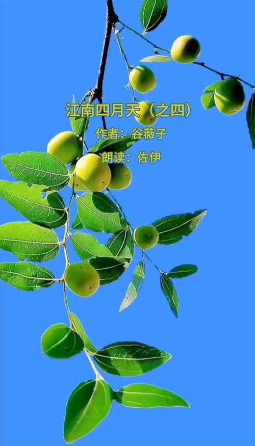 临城限号-临城县限号-第2张图片