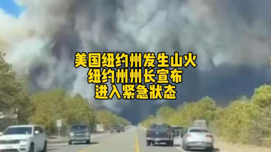 特朗普宣布美国纽约州为疫情重大灾区(特朗普关于美国疫情措施)-第2张图片 特朗普宣布美国纽约州为疫情重大灾区(特朗普关于美国疫情措施)-第2张图片