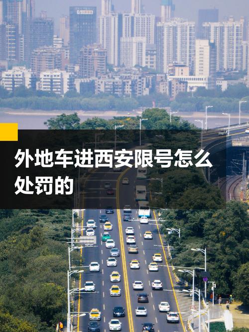 【限号被拍的几率,限号被拍到会怎么样】-第6张图片