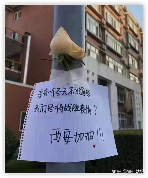 西安疫情数据，西安疫情速报
