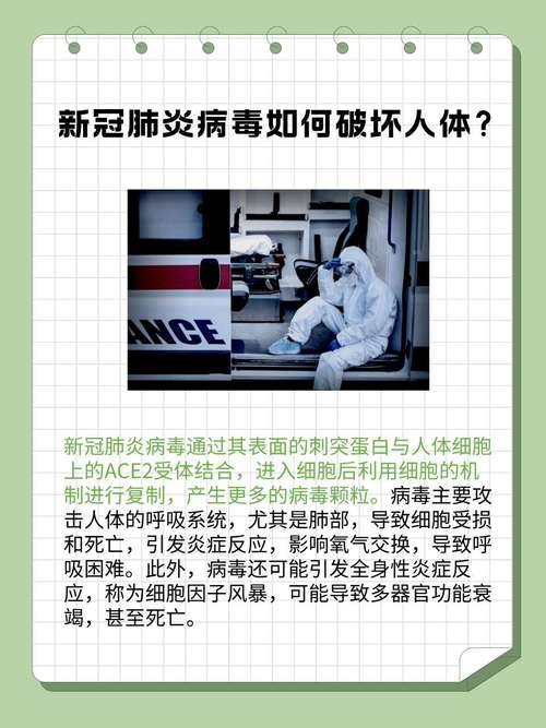 新冠疫情世界/新冠疫情世界死亡人数总数-第2张图片