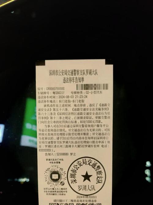 深圳限行被拍怎么处罚-外地车牌在深圳限行被拍怎么处罚-第4张图片