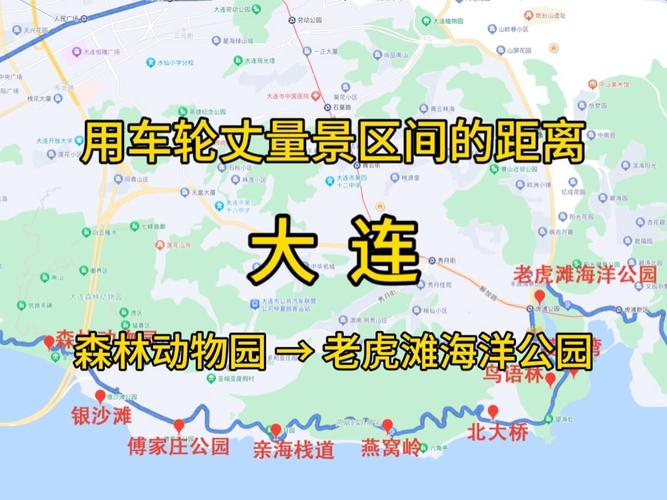 大连滨海路限行/大连滨海路限行时间-第6张图片 大连滨海路限行/大连滨海路限行时间-第6张图片