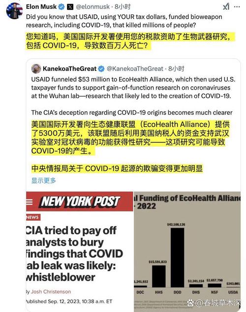美国新冠疫情最新消息-美国新冠疫情最新消息全-第4张图片