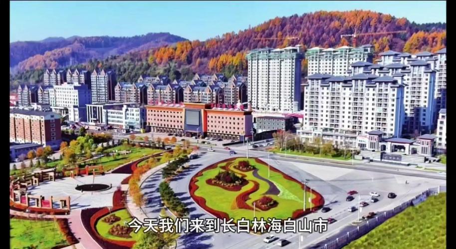 白山市疫情(白山市疫情什么时候彻底解封来着)-第2张图片 白山市疫情(白山市疫情什么时候彻底解封来着)-第2张图片