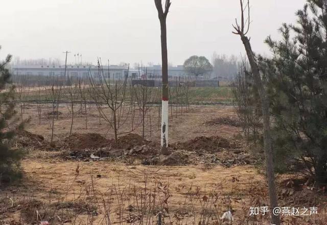 曲周限号查询/曲周限号查询最新今天-第3张图片 曲周限号查询/曲周限号查询最新今天-第3张图片