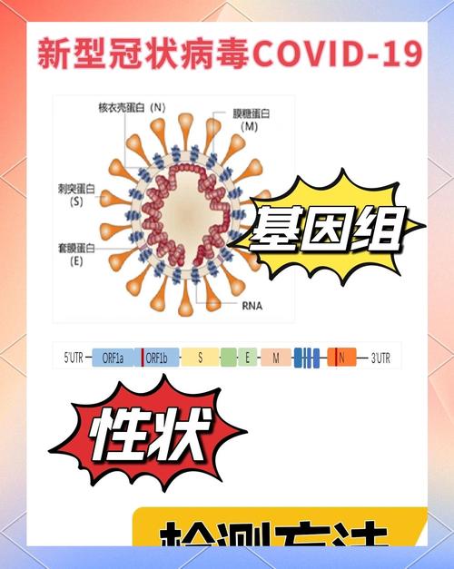 疫情传播,疫情传播方式-第5张图片 疫情传播,疫情传播方式-第5张图片