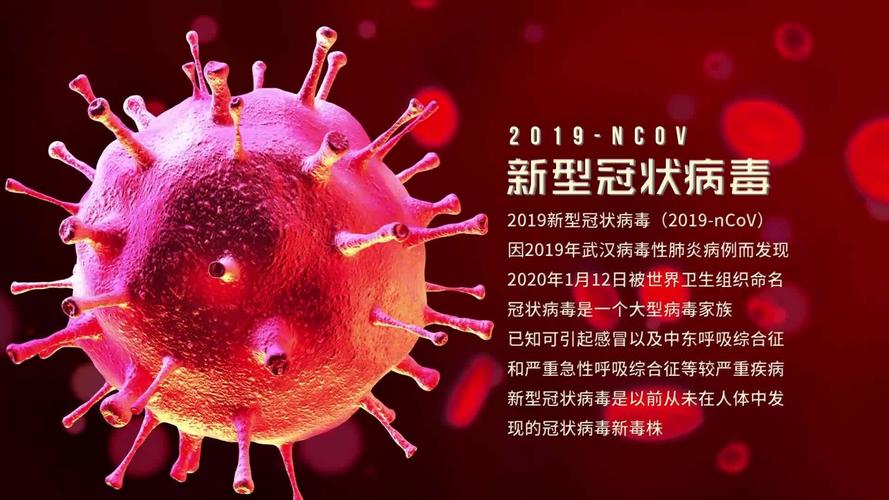 【新型冠状病毒疫情,2020年新型冠状病毒疫情】-第6张图片 【新型冠状病毒疫情,2020年新型冠状病毒疫情】-第6张图片