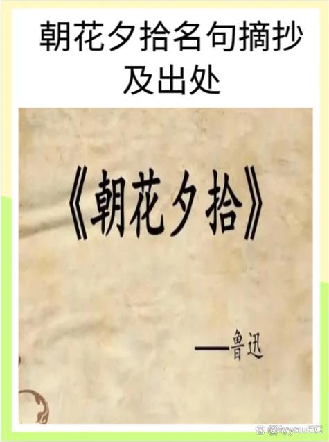 卫辉限号，卫辉市机动车限号-第7张图片